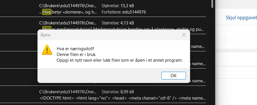 Skjermbilde 2025-12-05 102234.png